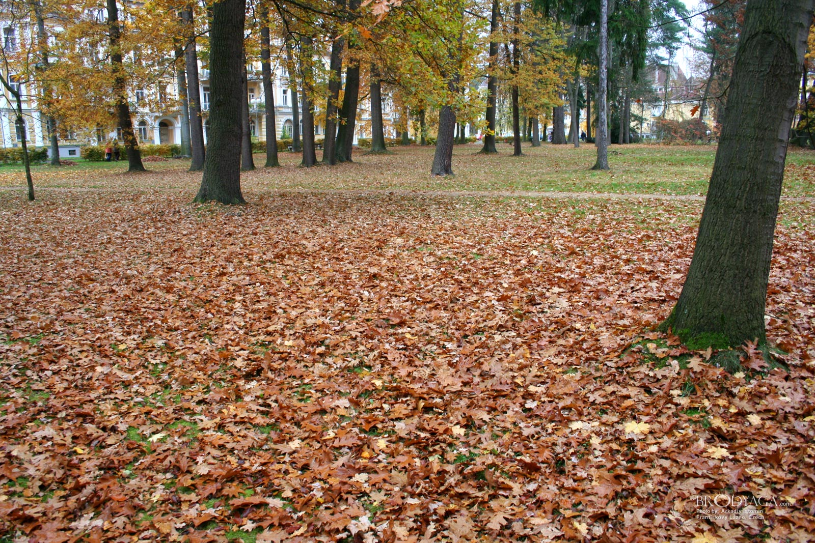 Frantiskovy Lazne
